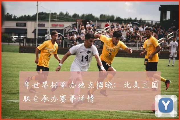 年世界杯举办地点揭晓：北美三国联合承办赛事详情